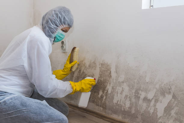 Best Residential Mold Inspection & Testing  in Redlands, CO